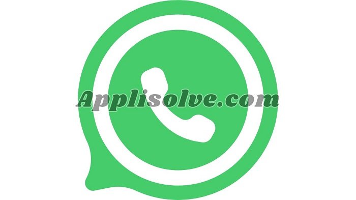 WhatsApp Mac Version 24.1.81 Download (2024)